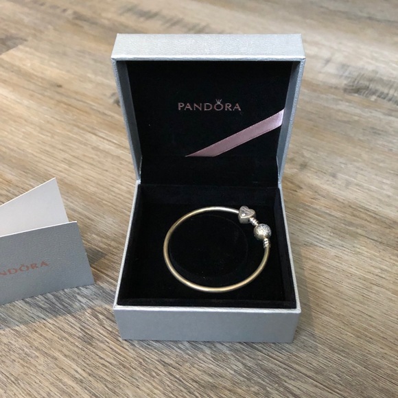 Pandora Bracelet